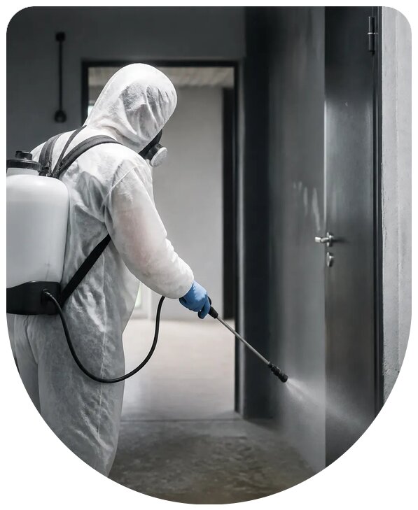 Профессиональная антисептическая обработка помещений в Новороссийске